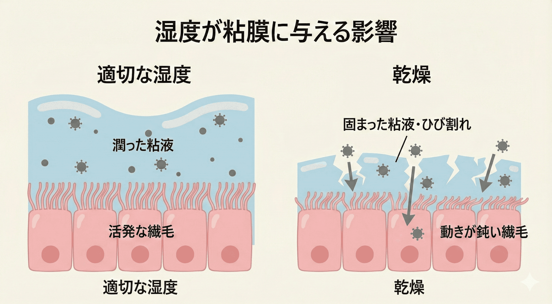 湿度が粘膜に与える影響