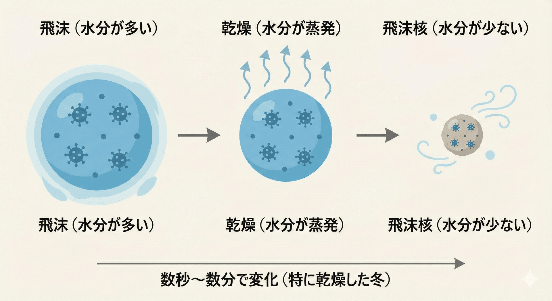 飛沫が乾燥すると飛沫核に変わる過程のイラスト。水分が多い飛沫から水分が蒸発し、数秒〜数分で小さな飛沫核になる